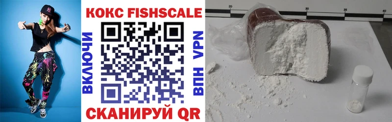 Кокаин FishScale  Купить закладки  Каргополь 