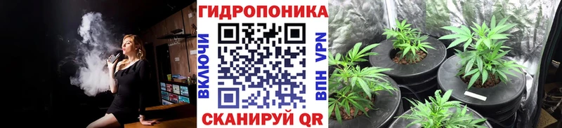 Купить где Каргополь Марихуана индика